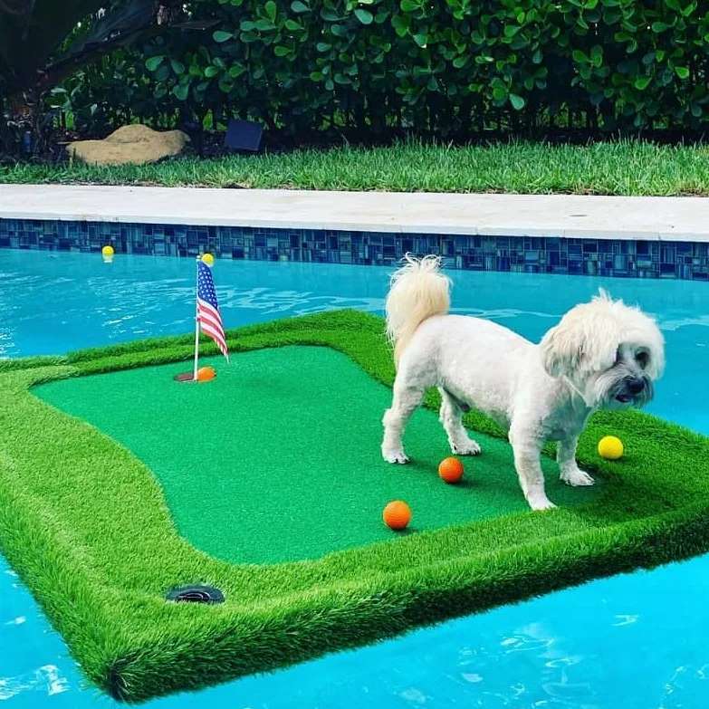 Float N' Chip- Floating Golf Green for Pool, Floating Chipping Green, Pool Golf, Pool golf game, floating golf green